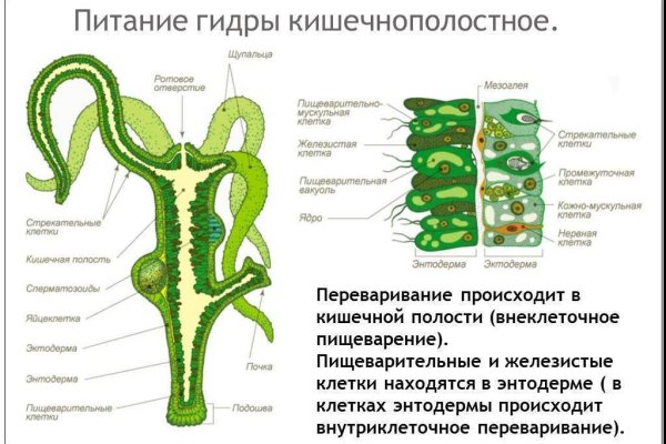 Почему кракен перестал работать