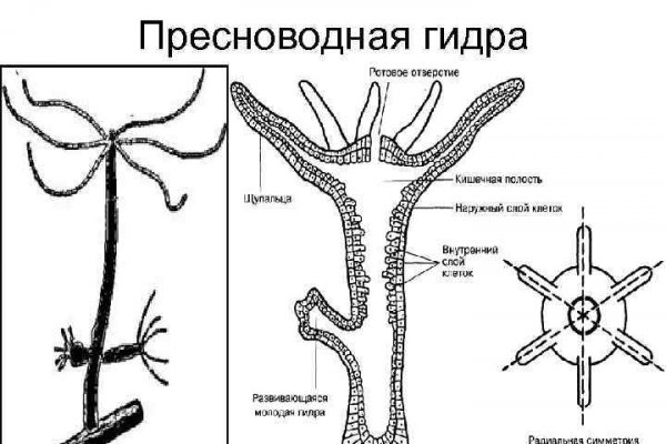 Кракен 16 даркнет продаж